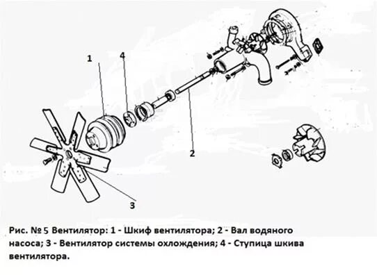 Жидкостный насос вентилятор двигателя системы охлаждения схема. Вал масляного насоса ЗИЛ 130 схема. ЗИЛ 130 двигатель вентилятор. Привод водяного насоса вентилятора охлаждения. Вентилятор водяного насоса