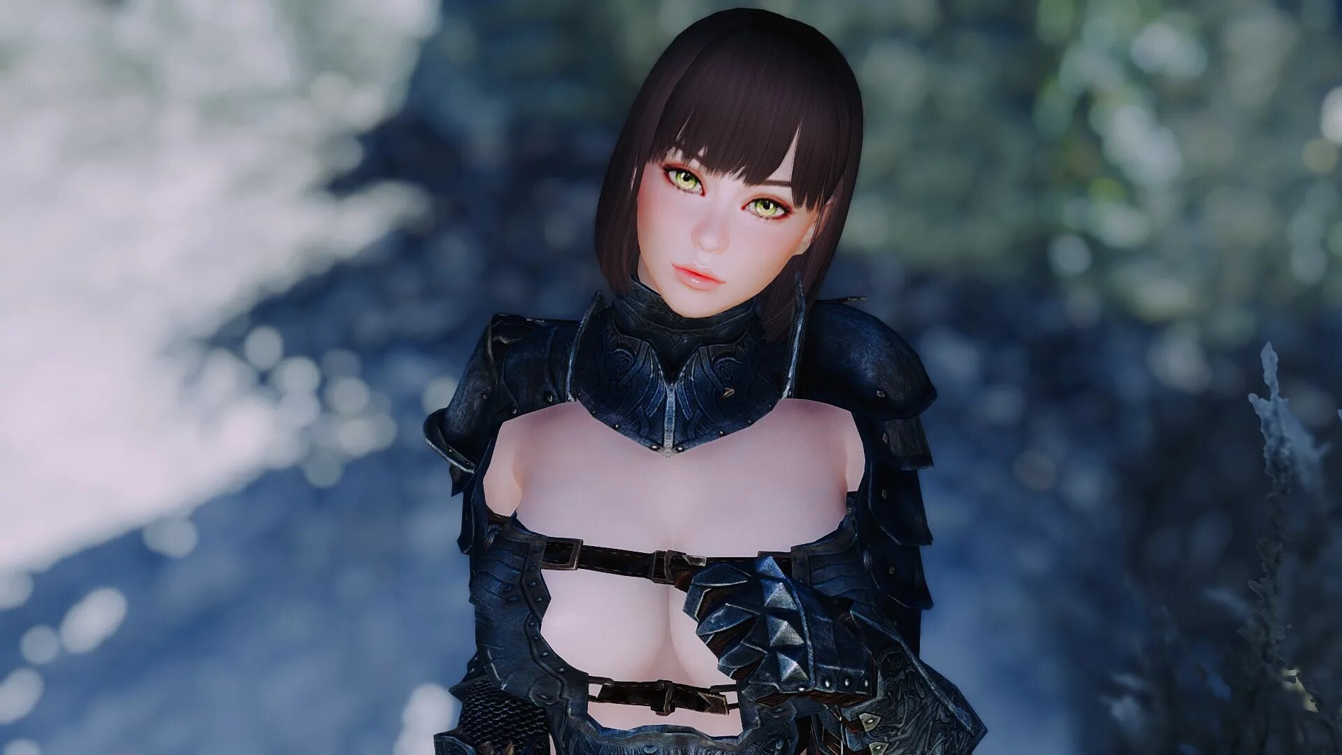 Красивые женщины в скайриме. Skyrim моды follower. Скайрим моды. Skyrim моды. Скайрим se racemenu se.