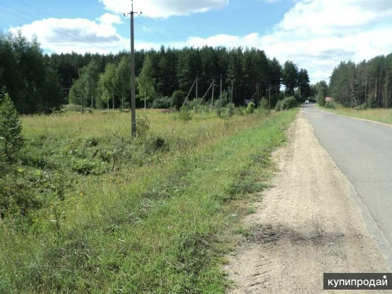 Лыченцы фото. Золотой колос некрасовское. Земельный участок некрасовское. Авиатор 2 челябинск снт. Земельный участок некрасовское.