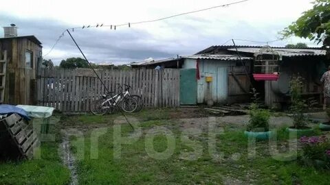Погода село осиновка приморский край михайловский