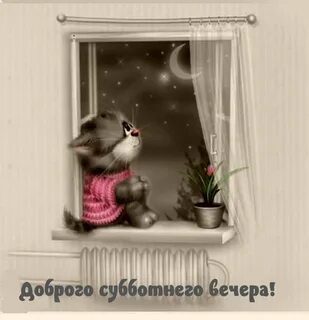 Картинки добрый вечер прикольные позитивные с пожеланиями
