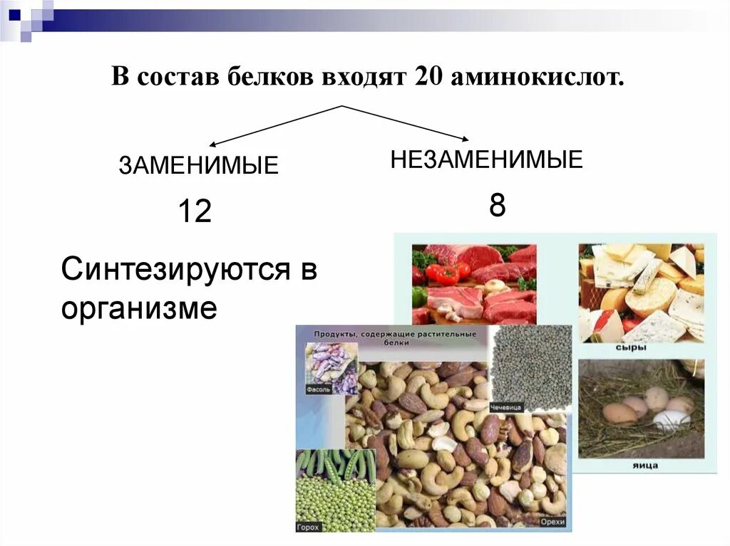 Является природным белком. Заменимые и незаменимые белки. Белки состоят из аминокислот. Незаменимые аминокислоты, входящие в состав белков. В состав белков входят аминокислоты.