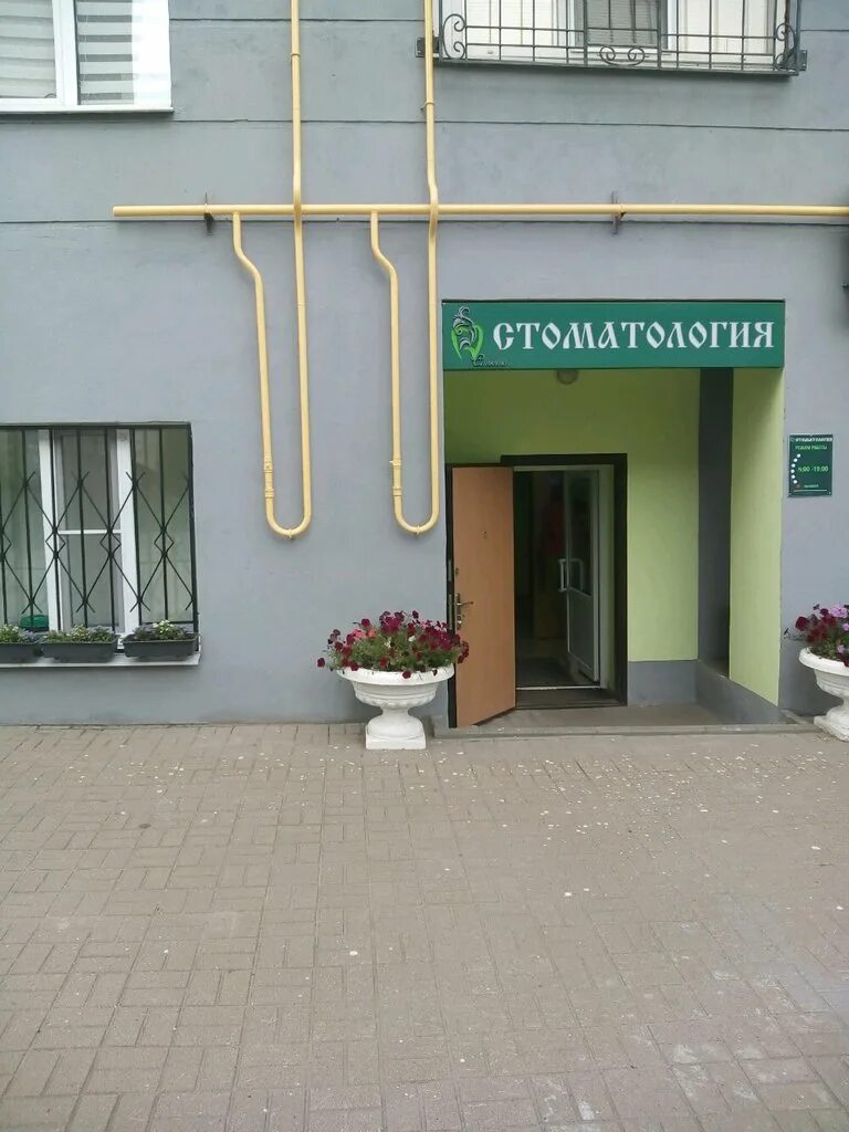 салют клиник шахты