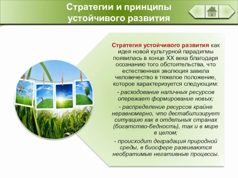 Устойчивое развитие природных ресурсов. Стратегия устойчивого развития. школа устойчивого развития презентация. концепция устойчивого развития природных ресурсов. проекты устойчивого развития курская область.