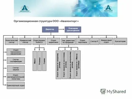 Организация группы компаний