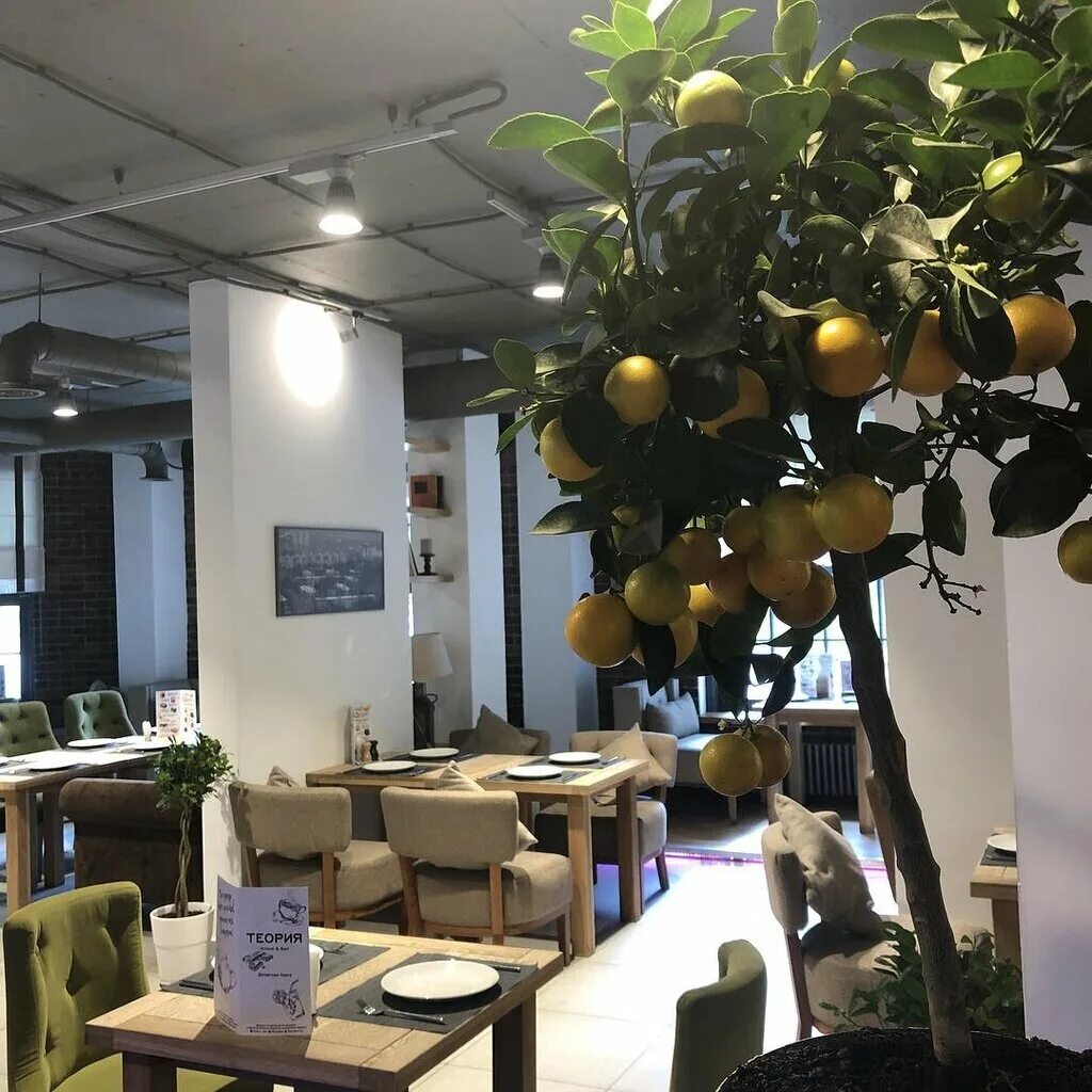 кафе теория в долгопрудном. кафе теория в долгопрудном. теория долгопрудный. теория кухня и бар. теория кухня и бар долгопрудный.