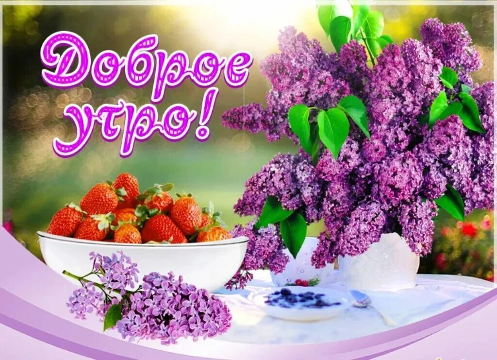 Доброе утро хорошего дня весенняя природа