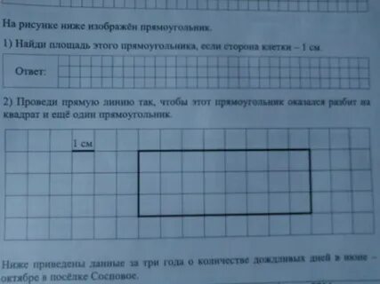 Сторона клетки 3 сантиметра
