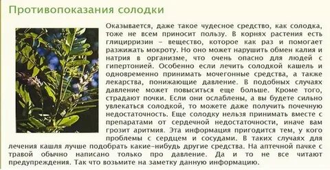 Трава солодка от чего помогает