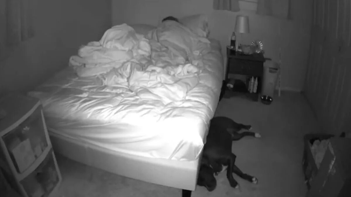 Парень установил скрытую камеру. Скрытое камера в спальне. Жены изменяют скрытые камеры. Муж установил скрытую камеру в квартире за женой. Скрытые камеры в спальные.