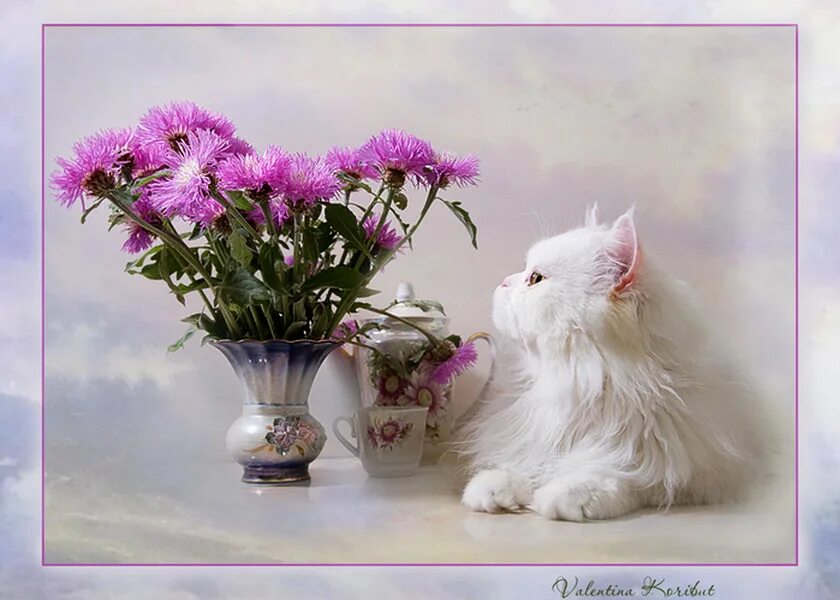Добрые пожелания с кошками. Доброго дня и прекрасного настроения с кошками. Доброго дня котики. Котенок с цветами. Прекрасного дня кошечки.