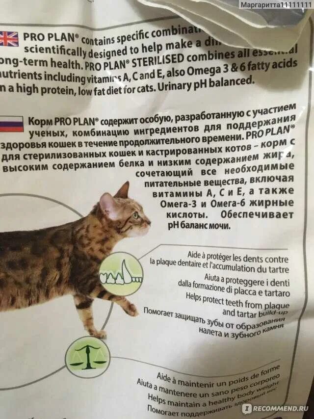 Сколько раз в день кормить кастрированного кота. Pro plan sterilised для кошек состав. проплан для стерилизованных кошек таблица кормления. корм проплан для стерилизованных кошек норма в день. виды корма для стерилизованных кошек.