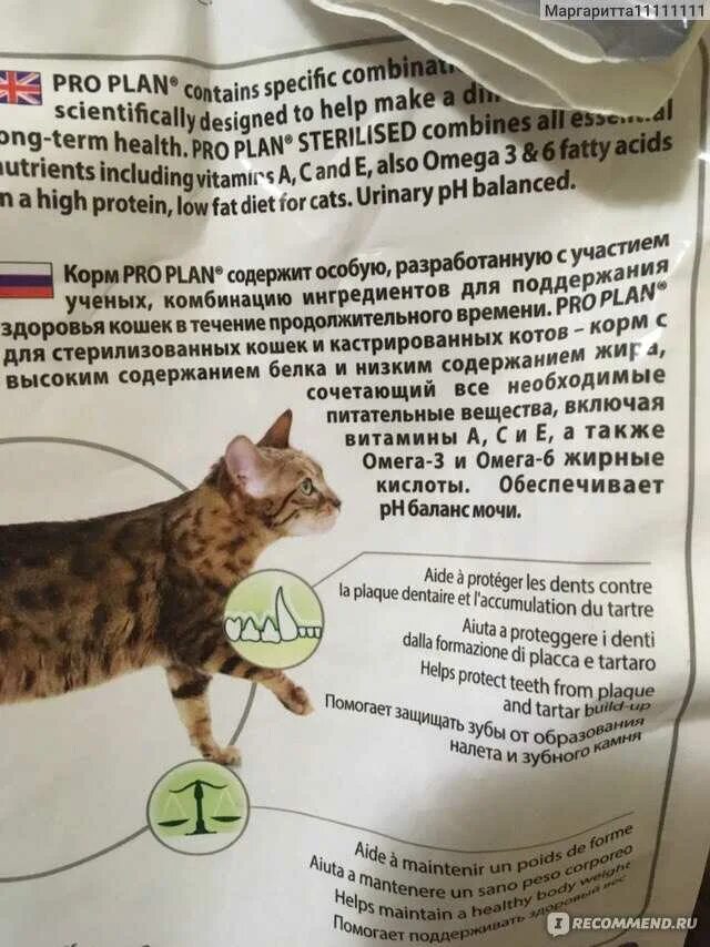 Pro Plan Sterilised для кошек состав. Проплан для стерилизованных кошек таблица кормления. Корм Проплан для стерилизованных кошек норма в день. Виды корма для стерилизованных кошек. Через сколько можно кормить котов после кастрации