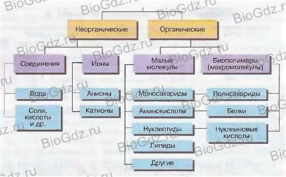 Картинки ХИМИЧЕСКАЯ ОРГАНИЗАЦИЯ КЛЕТКИ СОСТАВ