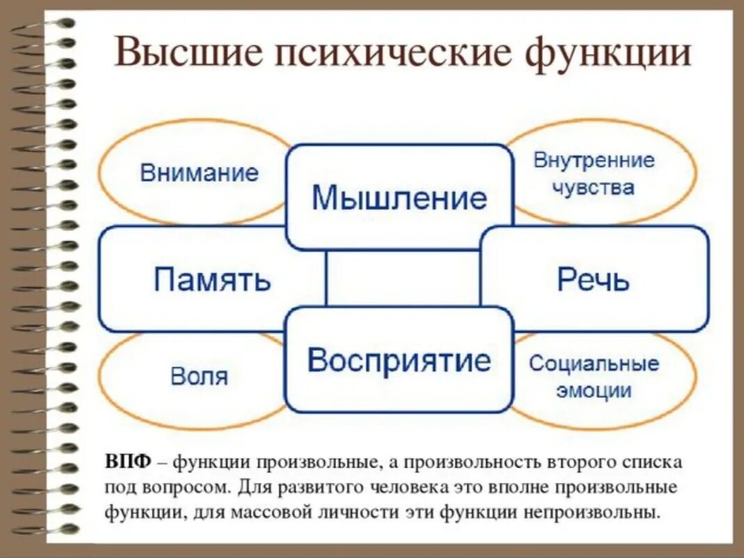 Что относится к высшим психическим функциям. К высшим психическим функциям относят. Высшие психические функции это в психологии. Список высших психических функций. Внимание и память являются