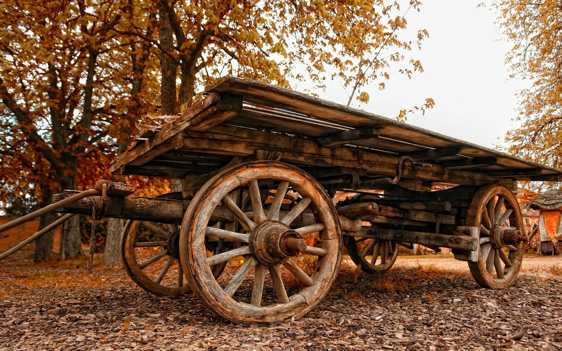 Телега брыку. Осия Колесник. Телега Бричка. Телега 18 век. Нимская телега.