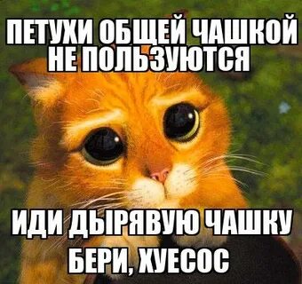 Пойти использовать