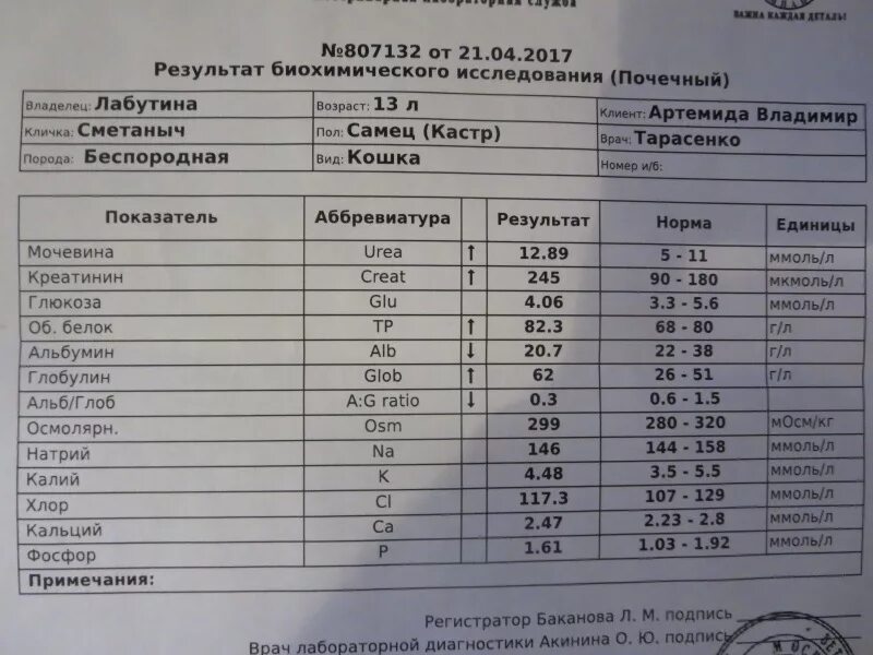 Какие анализы крови показывают почки. Анализы почек. Биохимия крови почечные показатели крови. Анализ крови на почки. Какие анализы сдать чтобы проверить почки.