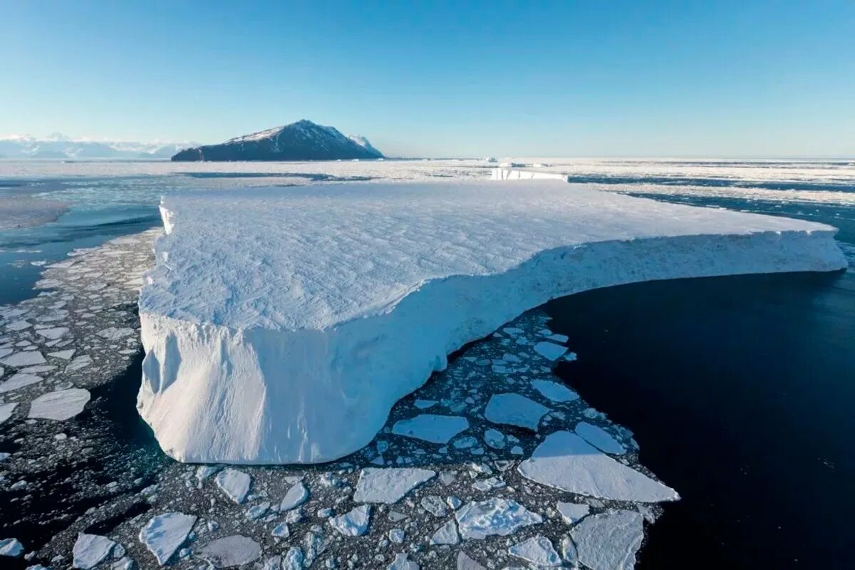Свободный ото льда участок антарктиды. Шельфовые ледники Антарктиды. Ледник Росса в Антарктиде. Шельфовый ледник шельфовый ледник. Самый большой шельфовый ледник Антарктиды.