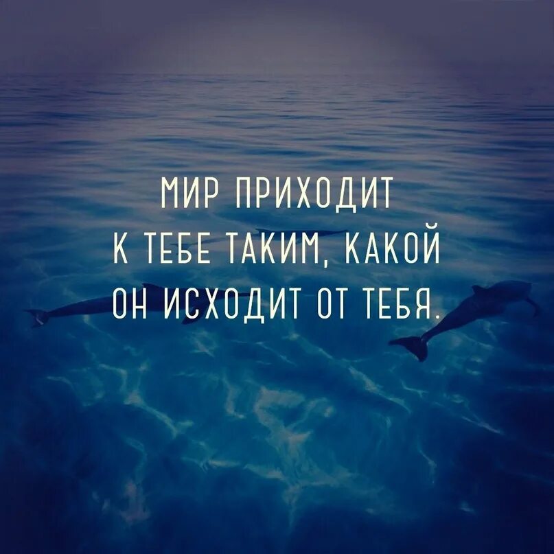 Мир придет. Мир приходит к тебе таким каким он исходит от тебя. Мир приходит к тебе таким каким он исходит от тебя картинки. Мир возвращается к тебе таким каким он исходит от тебя. Что от тебя исходит к тебе и возвращается картинка.