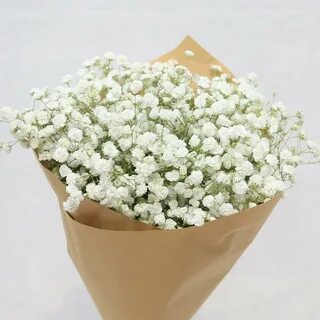 Белые цветы которые добавляют в букет