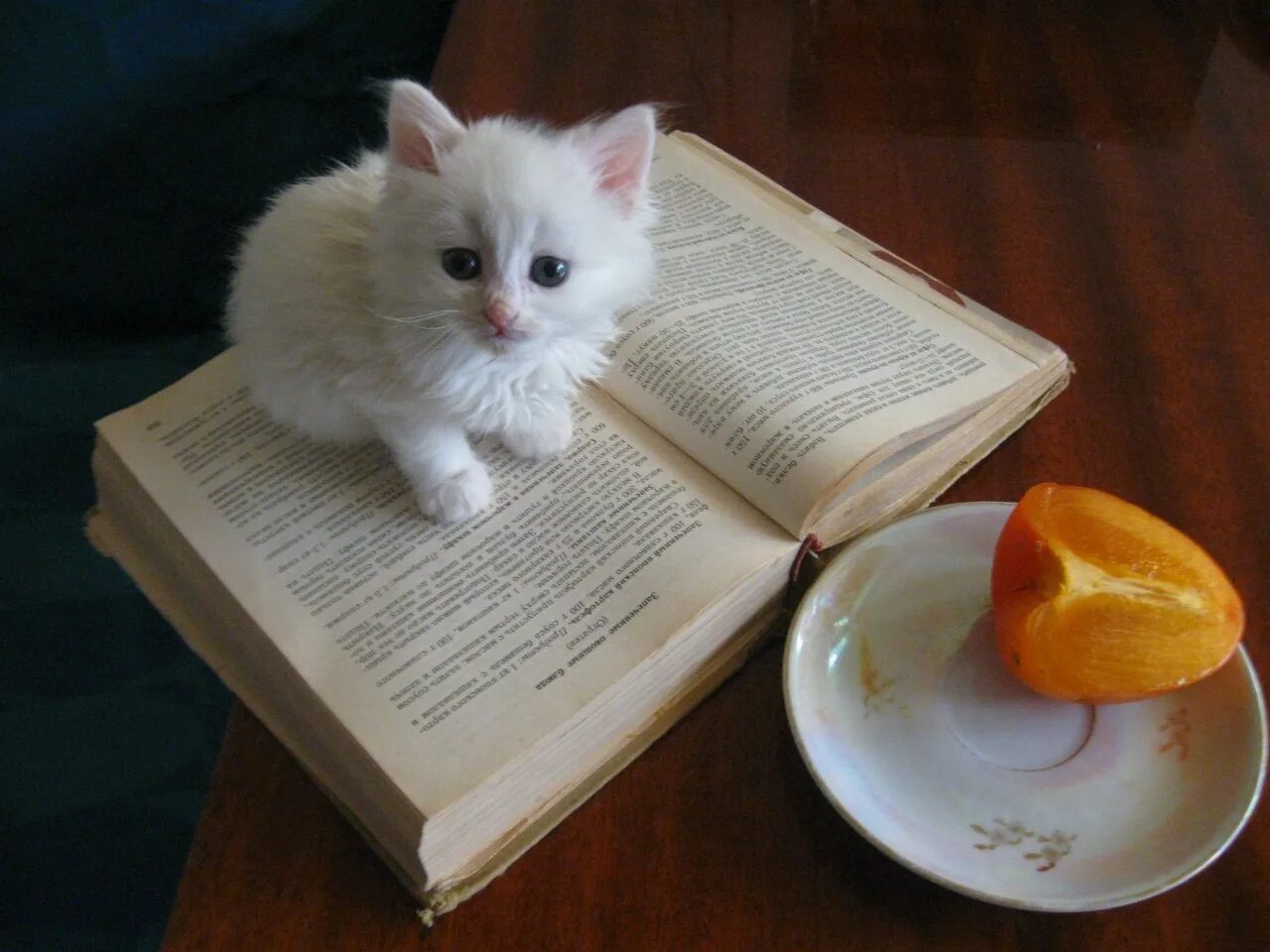 Поставь какую нибудь книгу