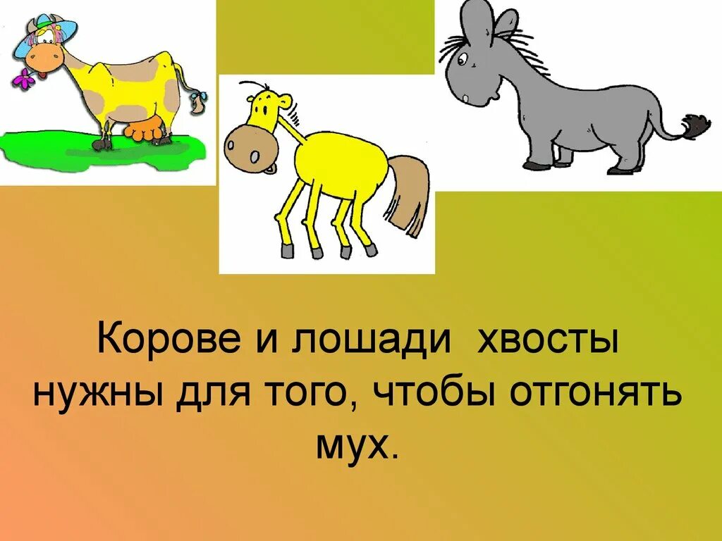 Задача про хвосты. Презентация хвосты. хвосты животных для детей. для чего нужны животные. зачем животным нужен хвост.