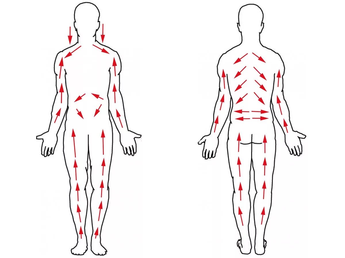 Массажная система. Массажные линии тела схема лимфа. Схема лимфодренажного массажа. Лимфодренажный массаж тела сухой щеткой схема. Схема движения лимфы в организме для массажа.
