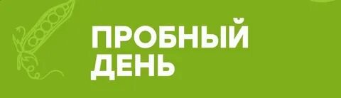 Что такое пробный день