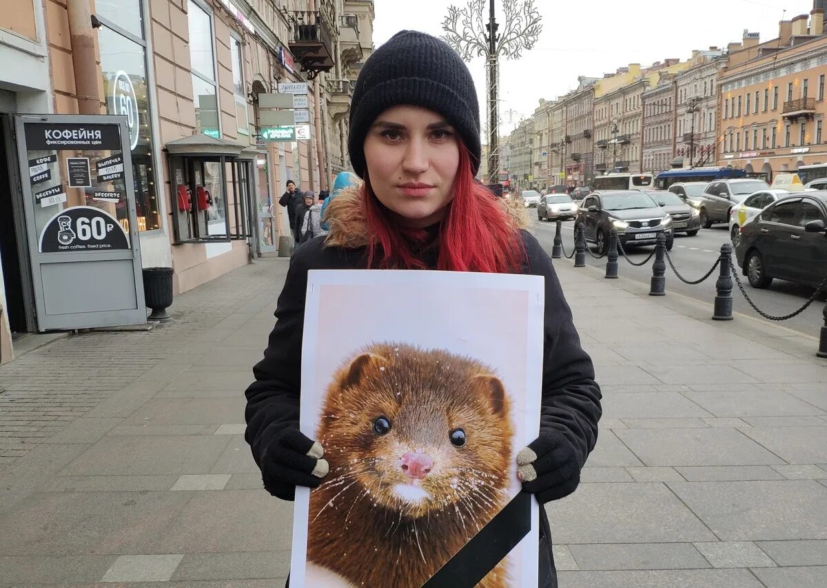 Защита животных санкт петербург. Защитники животных. защитники животных фото.