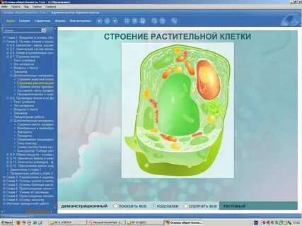 Строение клетки ткани 8 класс биология тест