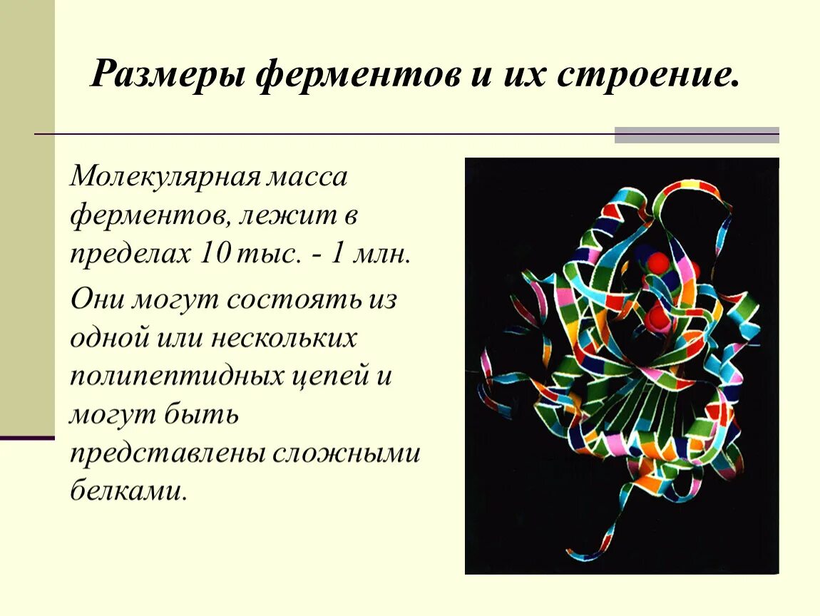 Три функции ферментов. Ферменты в организме. Молекулярная масса ферментов. Строение ферментов. Ферменты в организме человека таблица.