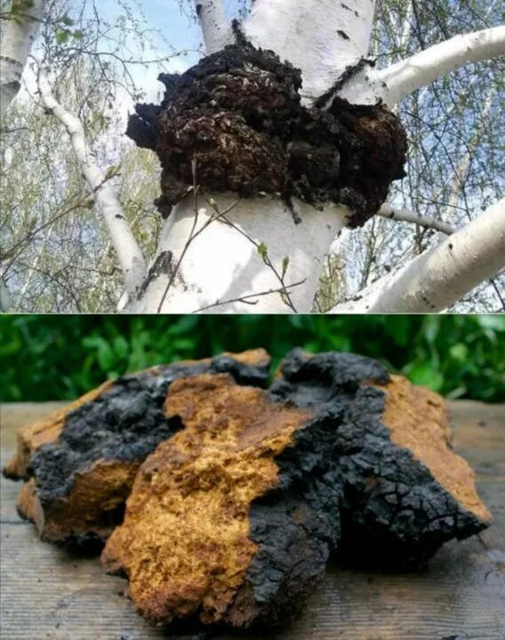 Неактивно