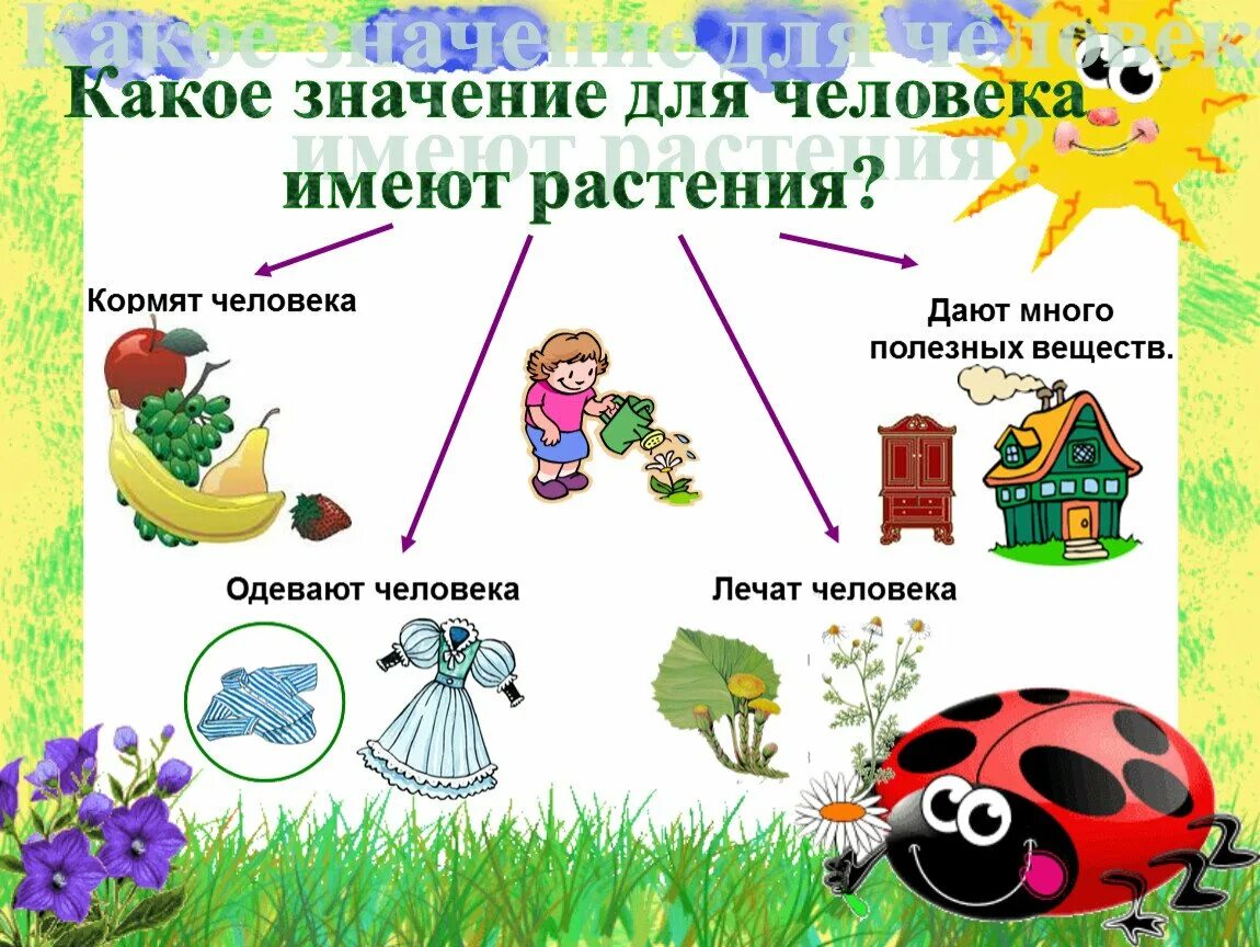Какое значение имеет для растений животных человека. Схема что дают растения животным и человеку. культурные растения 2 класс. что дают растения человеку. какое значение для человека имеют растения.