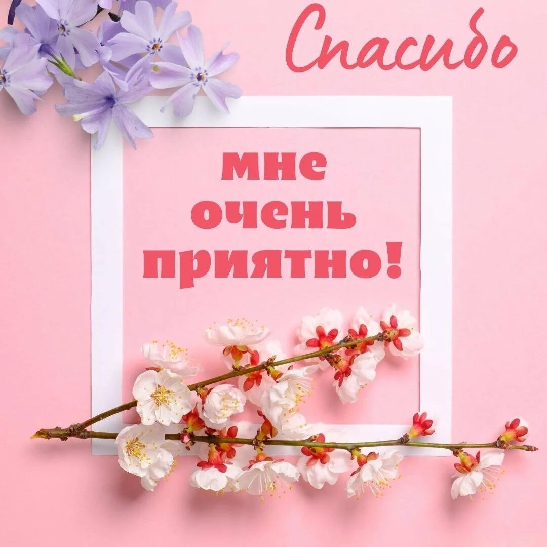 Подойти приятно. Открытки благодарности сестре. открытки спасибо сестрëнка большое очень приятно. сестра спасибо за подарок открытка. спасибо сестре за помощь.