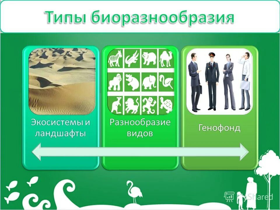 Сохранение биологических видов