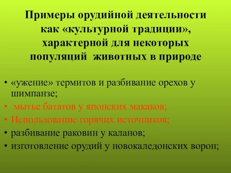 Орудийная деятельность примеры. Приведите примеры орудийной деятельности животных. Орудийность деятельности пример. Пример орудийной деятельности животных в природе.