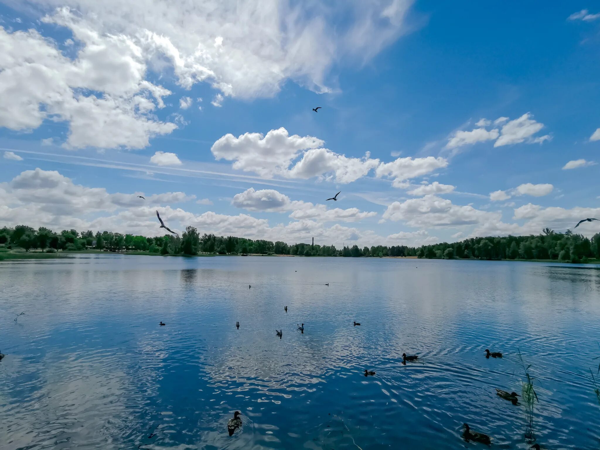 Онуфриево озеро Тростенское. Озеро Тростенское Истринский район. Озеро Тростенское Рузский район. Тростенское озеро Истринский район пляж. Ук озеро нижний новгород