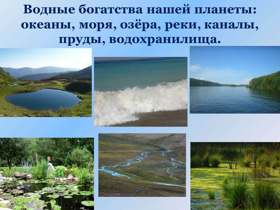 В океане есть река. Водные богатства. Водные богатства нашего края. Водные богатства 2 класс. Водный Бог.