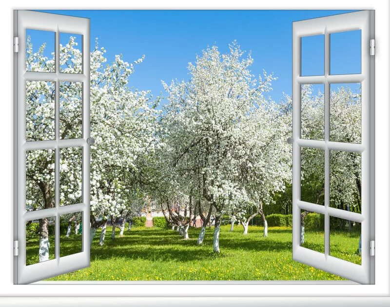 Tree window