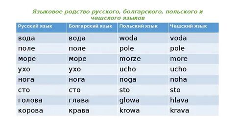 Перевод с белорусского на польский