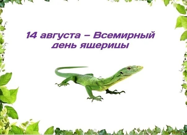 День ящерицы. Открытка с днём рождения с ящерицей. Открытки всемирный день ящерицы. День ящерицы. Картинка всемирный день ящерицы.