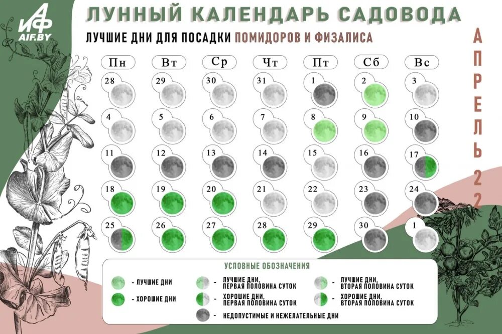 Благоприятные дни для посева в апреле 2025г