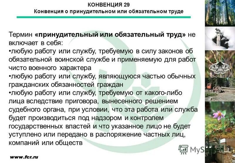 верное определение понятия принудительный труд