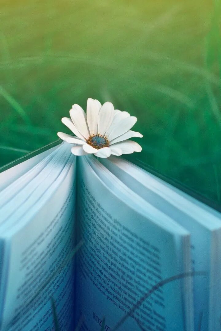 Белая книга жизни. Белая книга жизни