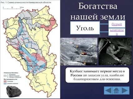 Кузнецкий бассейн в каком субъекте