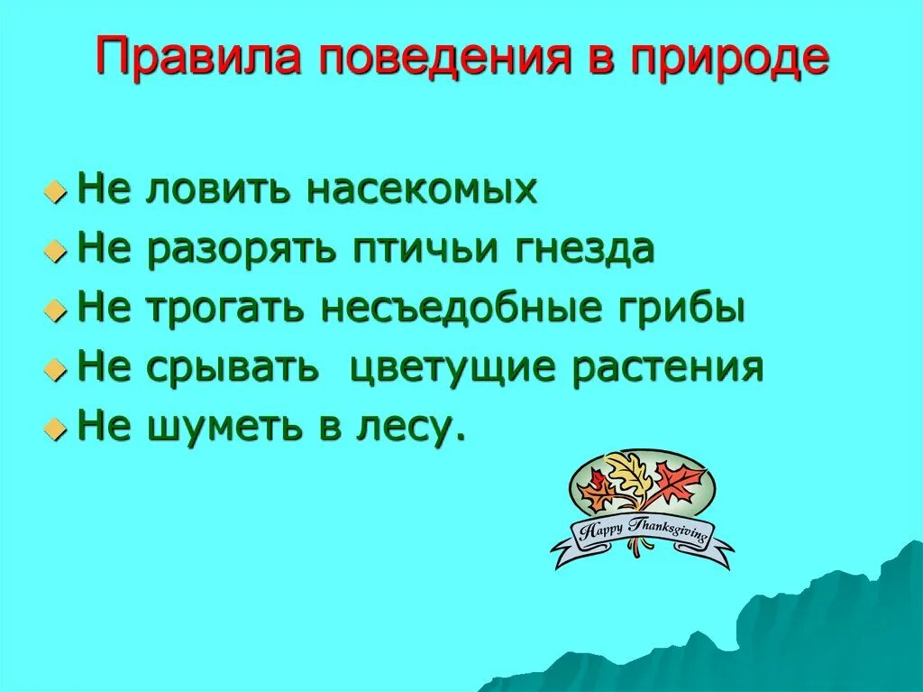 Правила поведения на природе. Правлаповедеявприроде. Правила поведения вмприроде. Павилапведенияв природе. Правила про природу