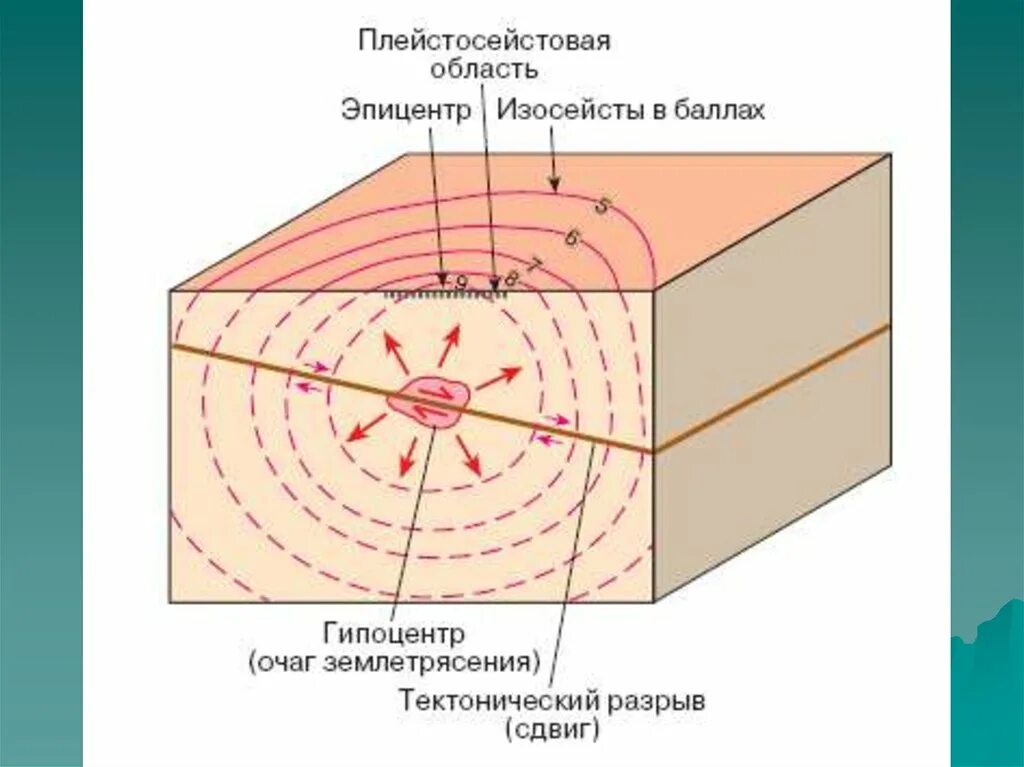 Землетрясение учебник. Очаг и Эпицентр землетрясения схема. Очаг гипоцентр Эпицентр землетрясения. Схема очага землетрясения. Строение сейсмического очага.