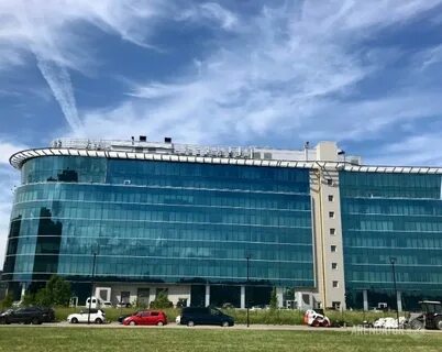 Стартовая 8 класс русский