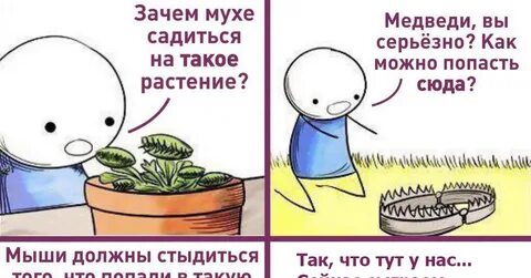Почему мухи называют высшими спорами растениями